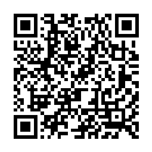 夏天的自信是要比他见过那些超级天才都要强的二维码生成