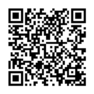 夏天的这门本事还真的是可以让他在这里横着走啊二维码生成