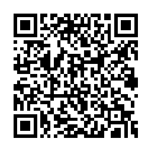 夏天的餐桌上摆放了四盘黑漆漆的菜和一盆的汤二维码生成