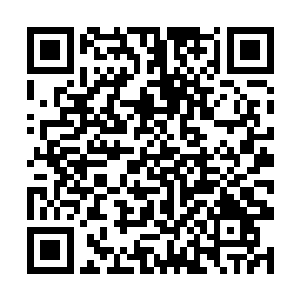 夏天目光死死的盯着面前的这个天涯商会的渡劫高手二维码生成