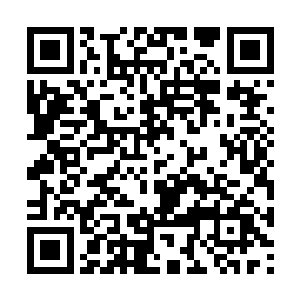 夏天直接一拳再次将距离他最近的那个人打倒在地二维码生成