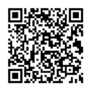 夏天看到其中一个储物装备里面的丹药不太一样二维码生成