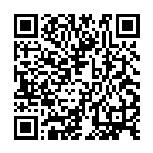 夏天看到北极狼牙和危天都已经使用过这种秘术了二维码生成