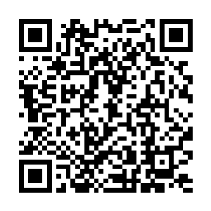 夏天看在白伊伊的姥姥面子上不愿意跟白芒一般见识二维码生成