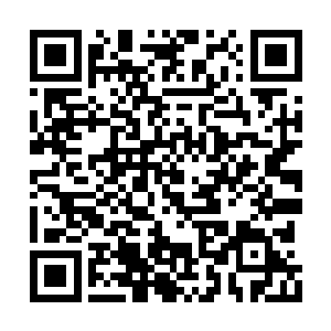 夏天看着面前的这个棋盘他突然升起了一种感觉二维码生成