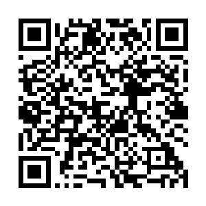 夏天祁悠悠转醒的时候一睁眼便看见了窗外明媚的阳光二维码生成