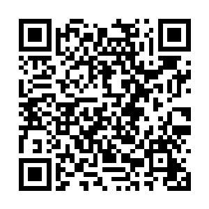 夏天突然感觉到自己有了一种回到地球上的感觉了二维码生成