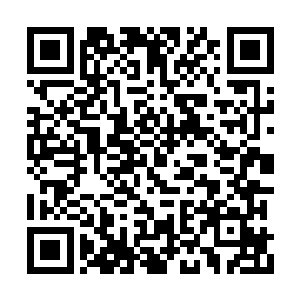 夏天站在一旁听了几耳朵才明白是怎么一回事儿二维码生成