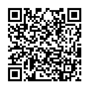 夏天第三次进入二段训练场就没有携带任何武器了二维码生成