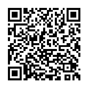 夏天经历了水元素的洗礼和非常全面的消毒之后二维码生成