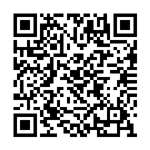 夏天能够想象得到这个名额是有多么的来之不易二维码生成