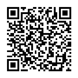 夏天能够清晰的感觉到自己的生命力被抽掉了一部分二维码生成