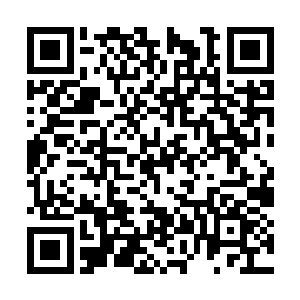 夏天自然也不会故意就随随便便去安排自己的朋友二维码生成