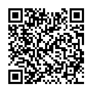 夏天萌刚打开电梯门就看见了正在电梯里的韩泽锡二维码生成