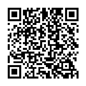 夏天萌看着站在面前一脸苍白与被背叛的痛苦表情的白雪二维码生成