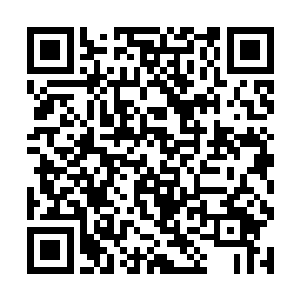 夏天虽然不能明目张胆的使用自己的力量去吸收黑雷二维码生成