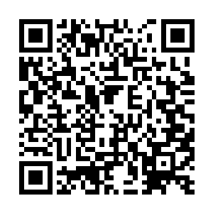 夏天虽然已经不是第一次和母虫级别的高手交手了二维码生成