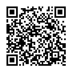 夏天要做的就是先将古族在外面的所有人全部斩杀二维码生成