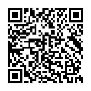 夏天要让这帮龙组的人员知道自己为什么而战斗二维码生成