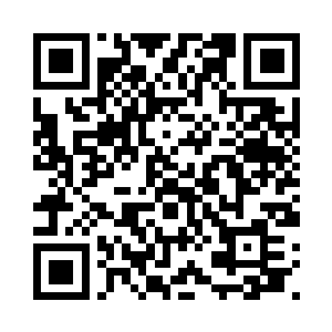 夏天认了从脑CT到脚趾头的检查费用二维码生成