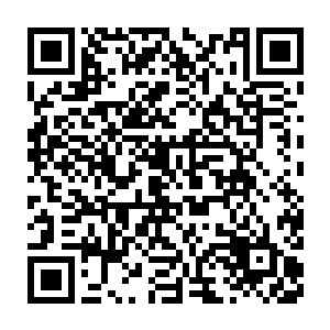 夏天记得自己最后看到的场面是无根桥彻底的消失在自己的面前了二维码生成