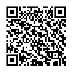 夏天记得贪狼当初还将本体上的伤转移到分身上二维码生成