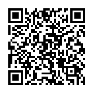 夏天说完又是一拳打在了泰国神王的另外一条胳膊上二维码生成