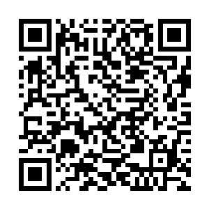 夏天身上缠绕的天软丝绳子瞬间化成了一段又一段的二维码生成