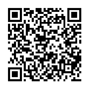 夏天这一巴掌直接将邢军打的在原地转了一个圈二维码生成