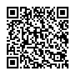 夏天这个政策虽然不可能救的了整个天脉的人类二维码生成