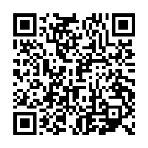 夏天这也算是变向的承认了这些事情是自己做的二维码生成