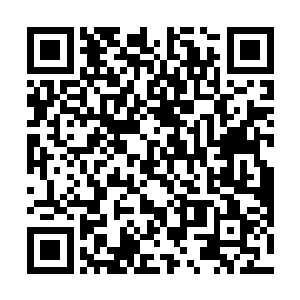 夏天这明白了就是真的想要活活的把他们用开水煮死啊二维码生成