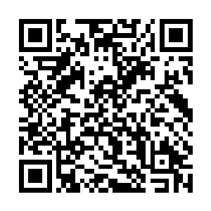 夏天随后又替三公子和四公子抹掉了他们身上的印记二维码生成