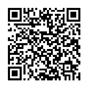 夏天面前的这只猴子的力量丝毫不比一个地级高手差二维码生成