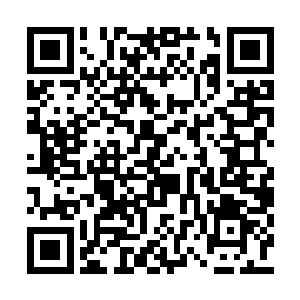 夏天领着曾柔跑到了一个十分偏僻的死胡同里面二维码生成