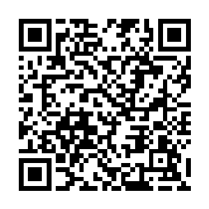 夏子楚说完拉着洛悠悠就往街道上停着的一辆马车走去二维码生成