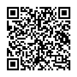 夏小姑看看夏天她二姨一听说要出去逛商场溜达时那兴奋的样子二维码生成