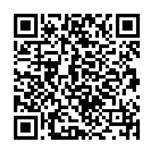 夏小菊去翻箱倒柜把自己一二年级的书找出来给梓箐二维码生成