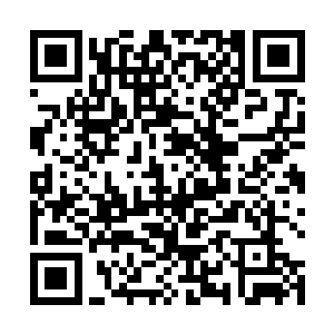 夏小雷和旗木西两人互相撕扯扭打着抱成一团躺在地上二维码生成