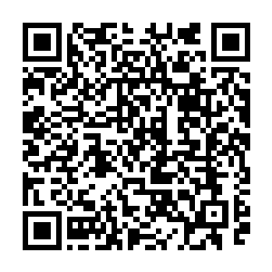 夏小雷这个二逼还特别热血的对陈小练做了一个捏紧拳头下拉的加油姿势二维码生成