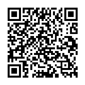 夏振西和夏振南心中不约而同的冒出了这个念头二维码生成