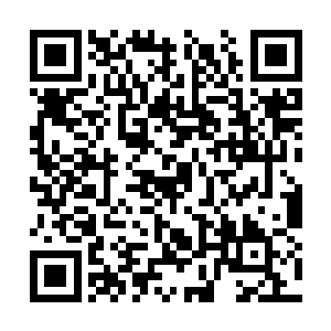 夏昭帝静静地看着地上跪着的卫王妃和小郡主夏瑞二维码生成