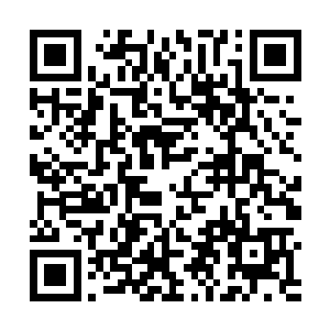 夏正名一手搂着裤头一手掀开帘子探进屋子里瞅了一眼二维码生成