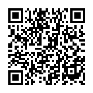 夏洛克盈捂着刚才被夏洛克燕打的红肿的腮帮子二维码生成