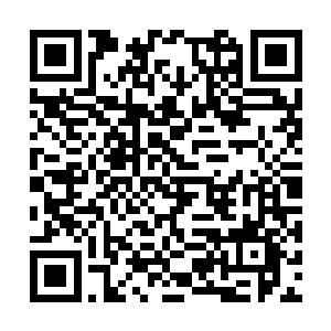 夏洛特的山峰虽然没有塞西莉亚同学那样高耸入云二维码生成