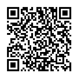 夏瑞泽强大的力量可不是李破晓能随便定身多久就多久的二维码生成