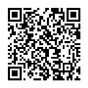 夏皇和神皇双双去古神界开荒了五大世界哪还有什么皇二维码生成