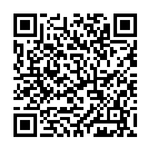 夏青莲还没有从刚刚的那场黑衣人的冲击中惊醒过来二维码生成