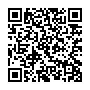 夕阳穿过落地窗将女人绝美的侧脸蒙上一层金色暖辉二维码生成