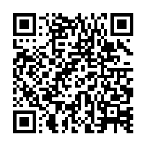 外公……我真的不知道……当时我被张家兄弟按在地上二维码生成